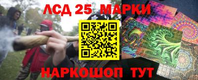 крисы Ставрополь