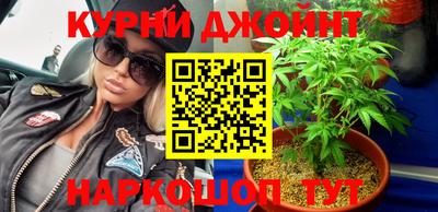 крисы Ставрополь