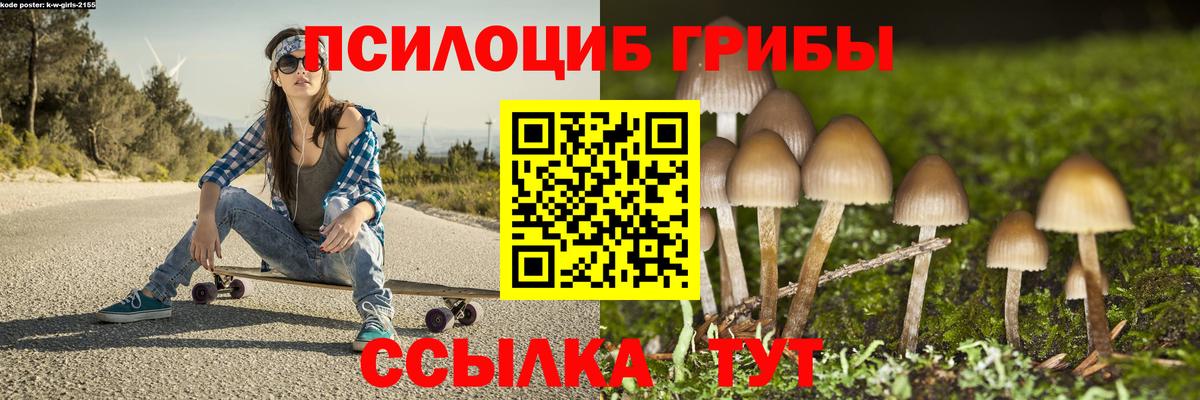 Нижнеудинск  Псилоцибиновые грибы MAGIC MUSHROOMS  Вход с VPN 